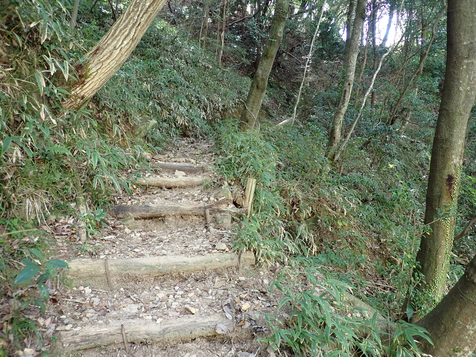 PA301664_mid.jpg