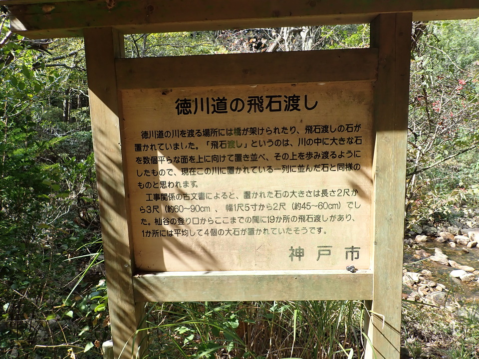 PA301670_mid.jpg