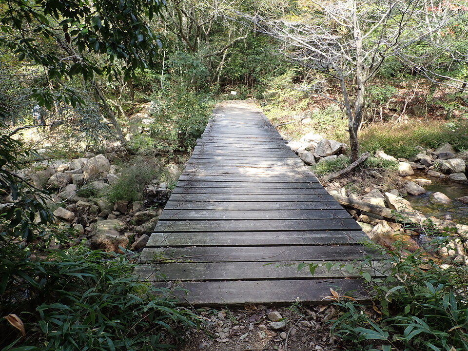 PA301678_mid.jpg