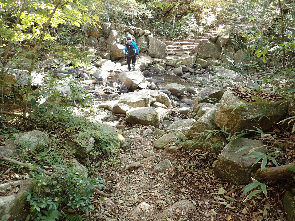 PA301713_mid.jpg