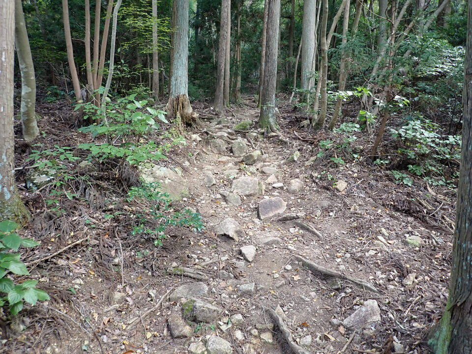 PA301739_mid.jpg