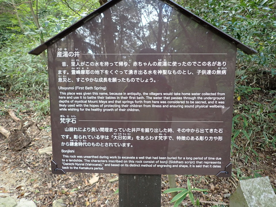 PA301802_mid.jpg