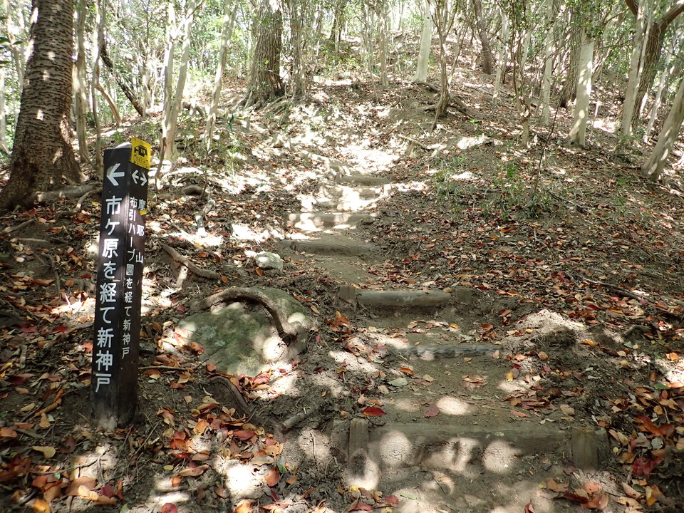 PA301889_mid.jpg