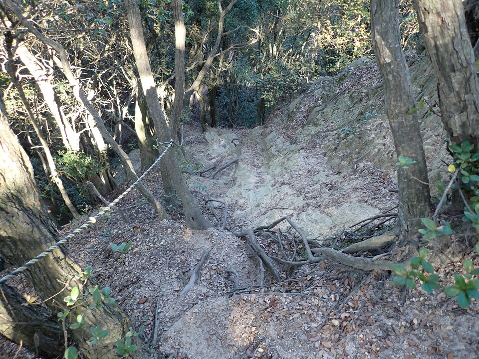 PB122079_mid.jpg