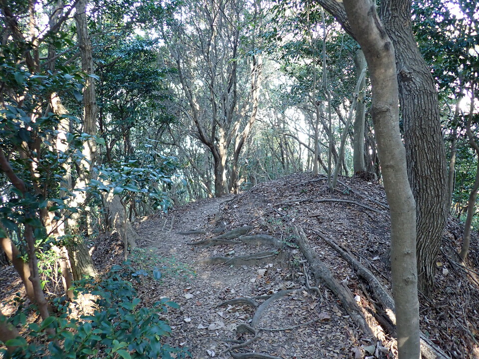 PB122105_mid.jpg