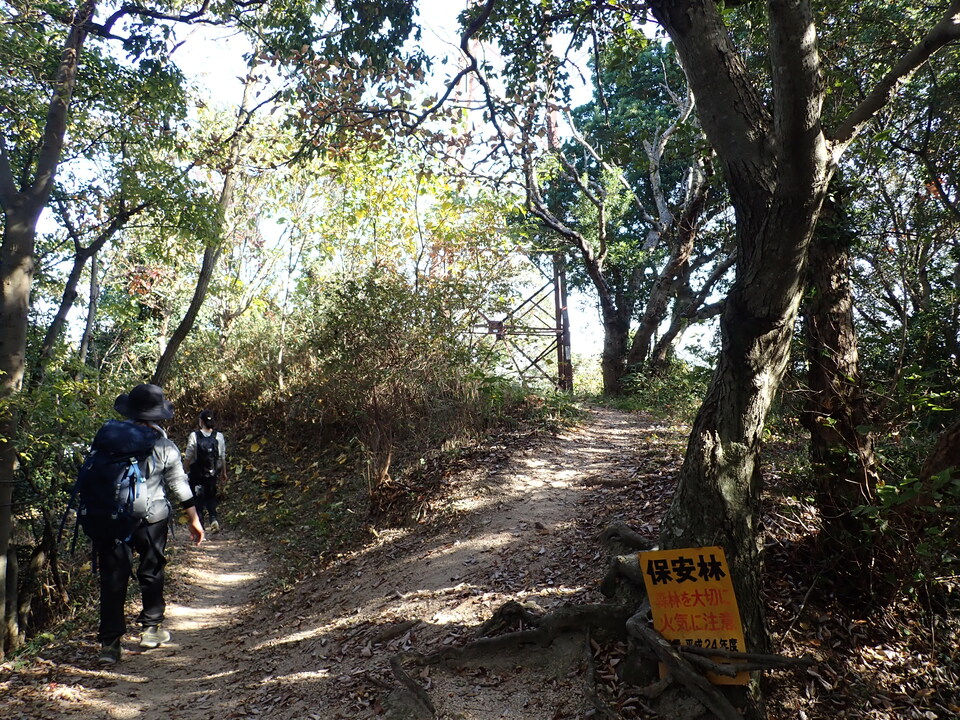 PB122208_mid.jpg