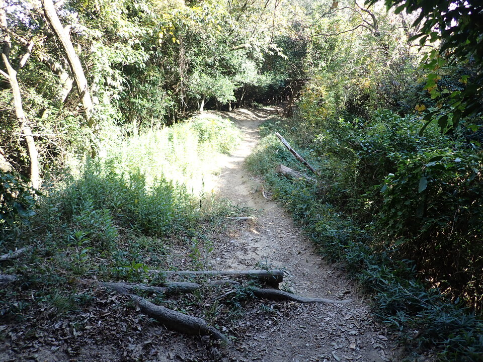 PB122215_mid.jpg