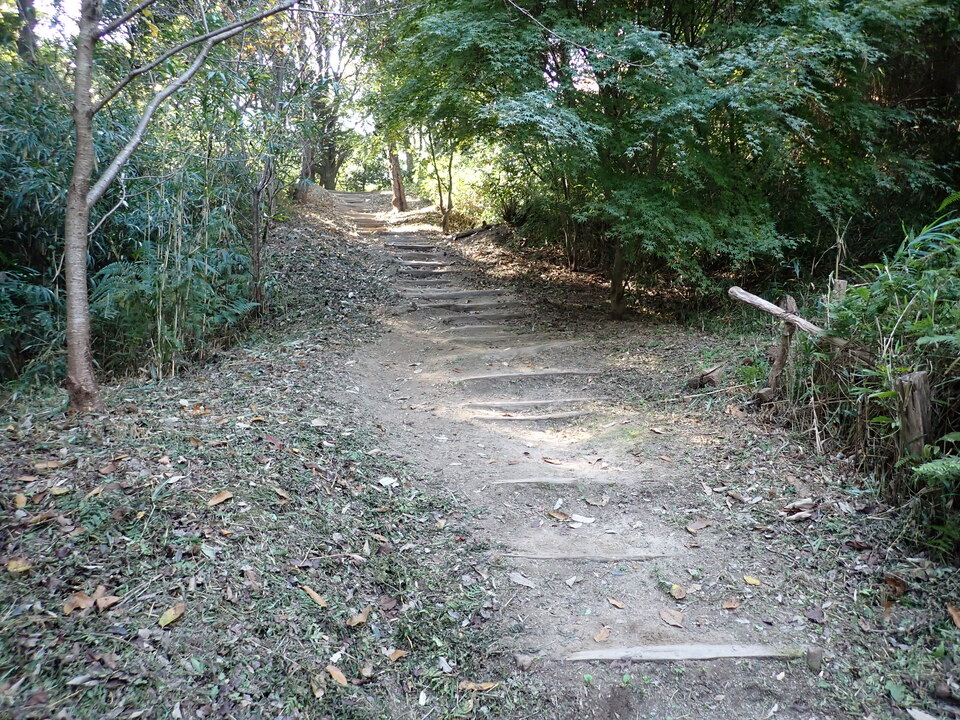 PB122224_mid.jpg