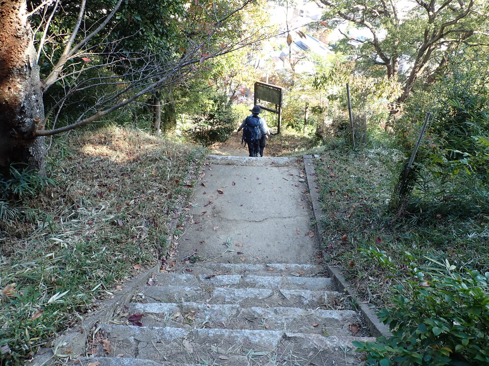 PB122246_mid.jpg