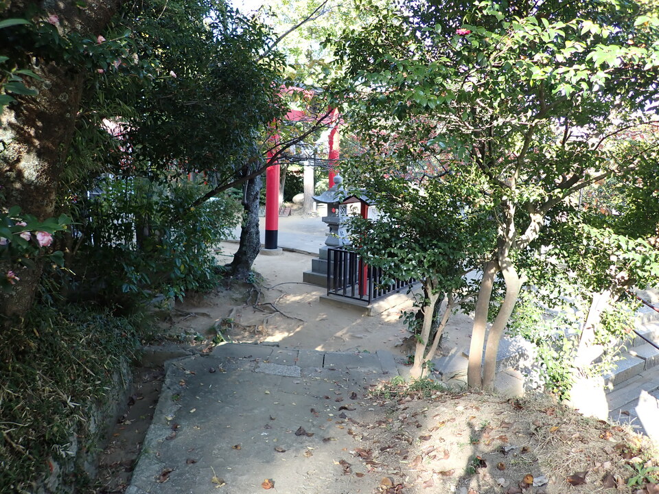 PB122248_mid.jpg