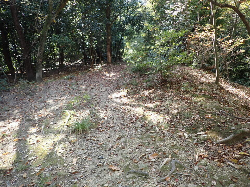 PB122282_mid.jpg