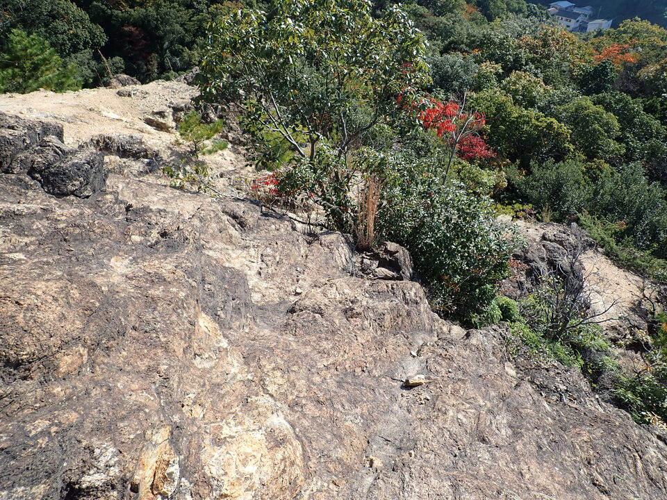 PB122294_mid.jpg
