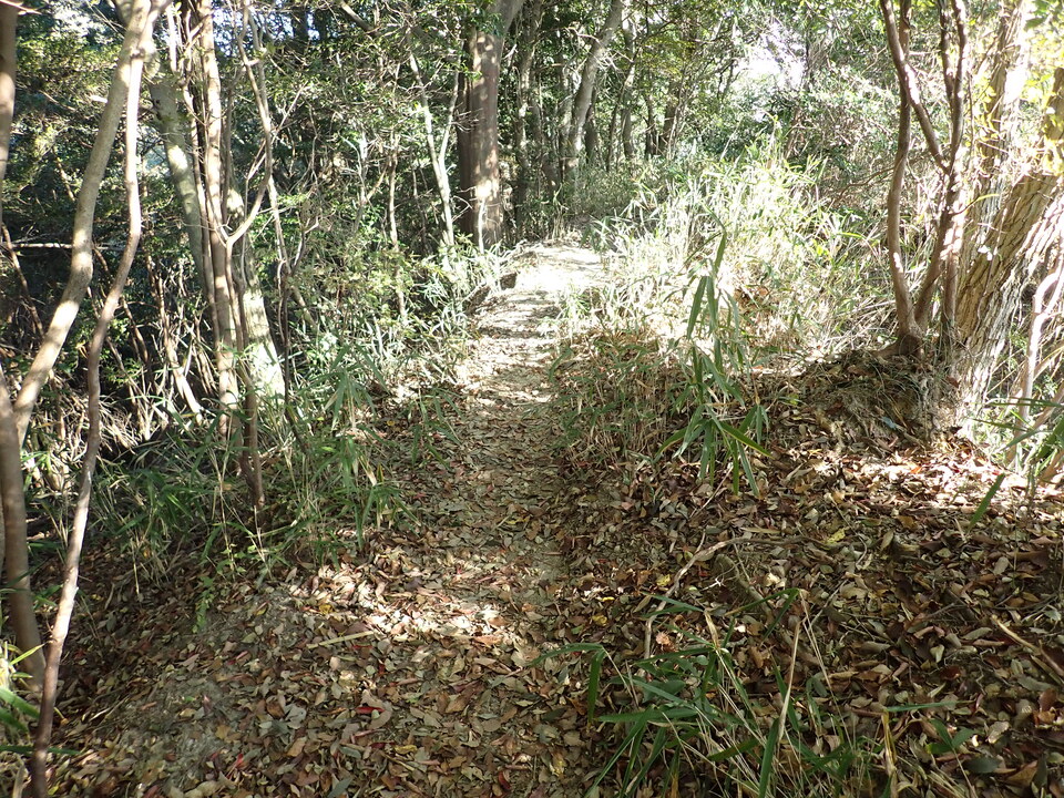 PB122322_mid.jpg
