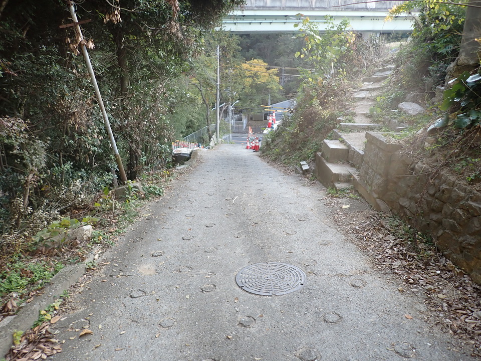 PB122377_mid.jpg