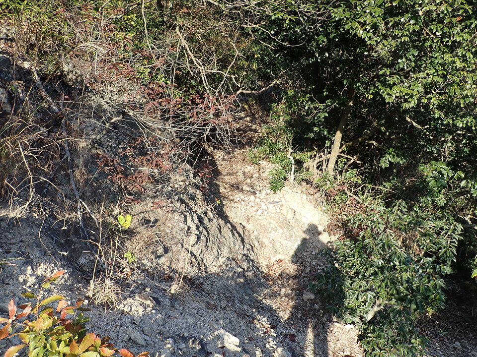 PB122378_mid.jpg