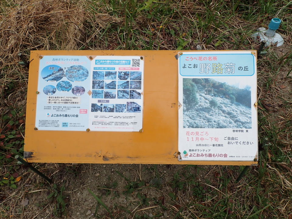PB132403_mid.jpg
