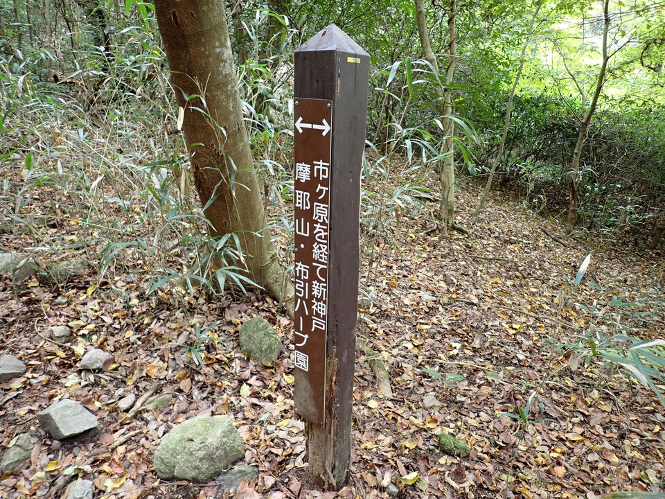 PB262604_mid.jpg