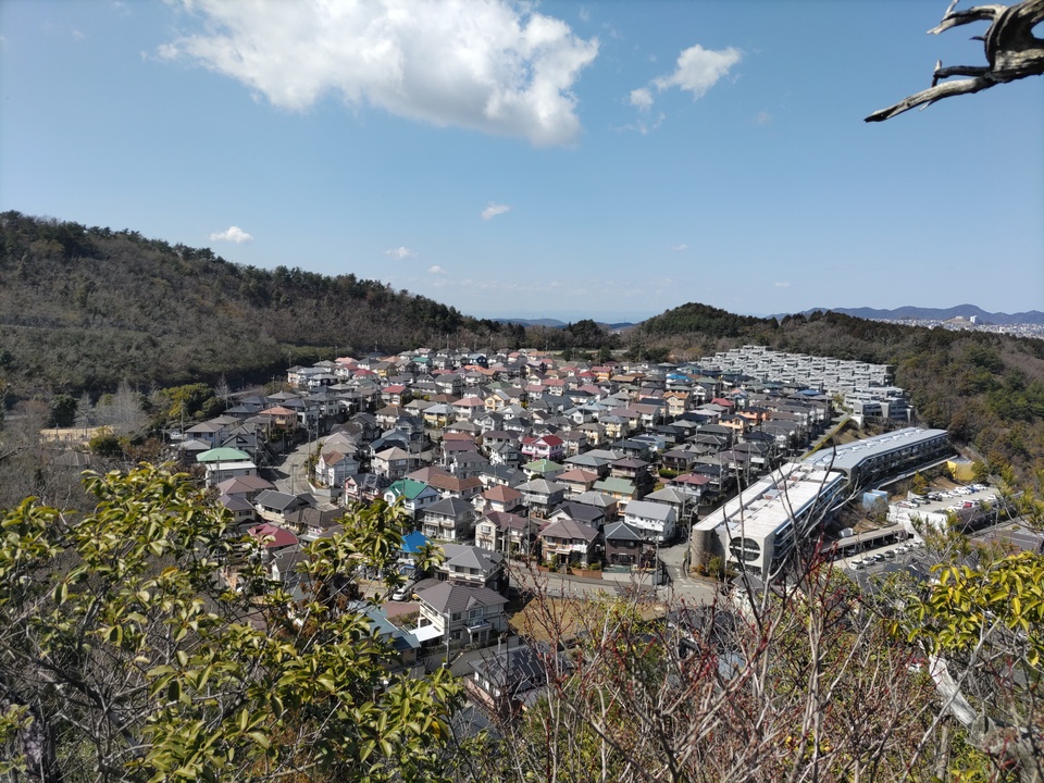 DSC_1797_mid.jpg