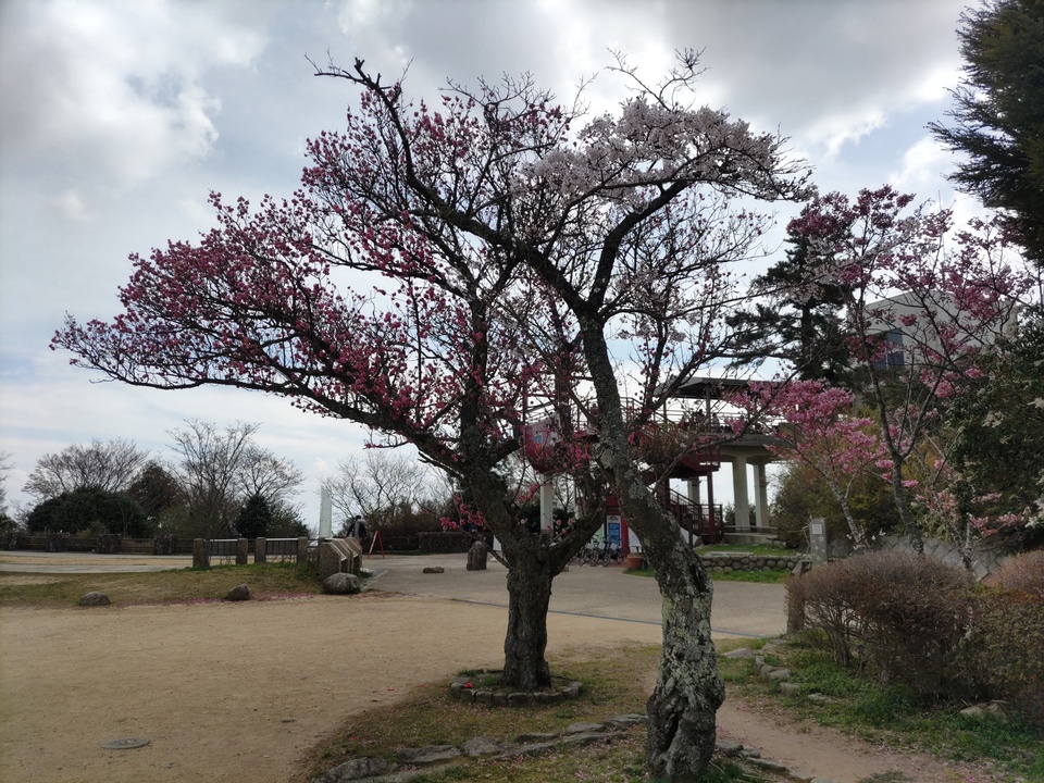DSC_1856_mid.jpg