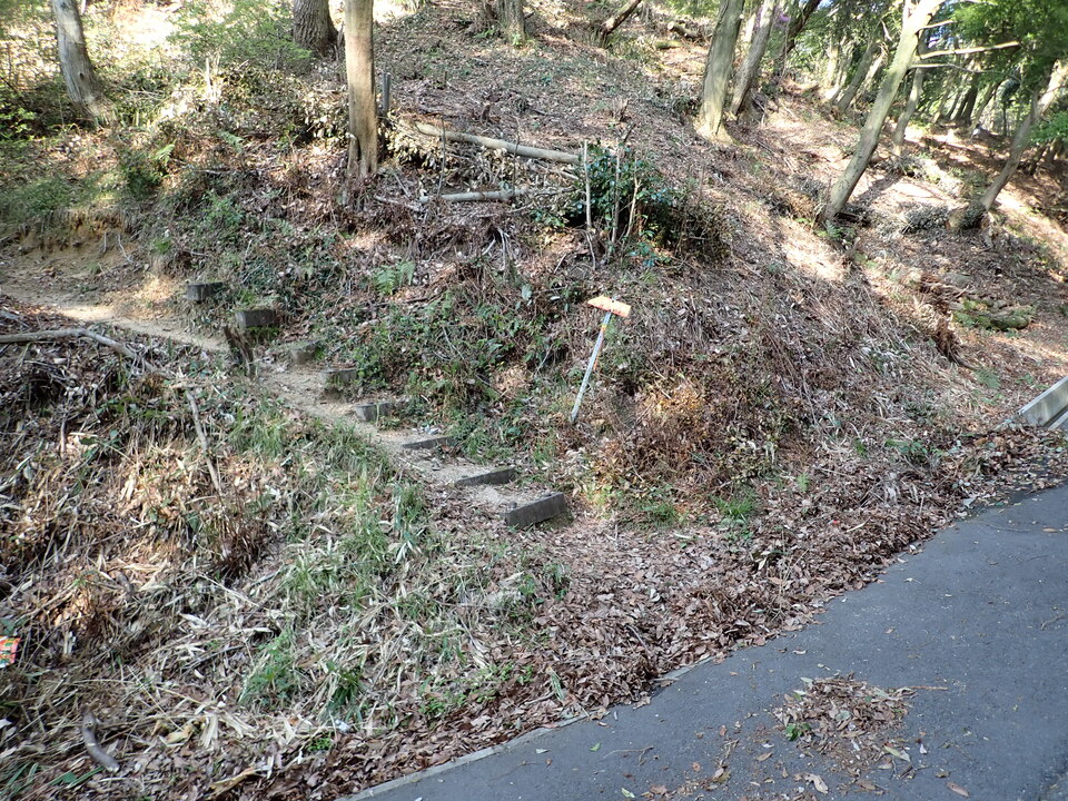 P4093146_mid.jpg