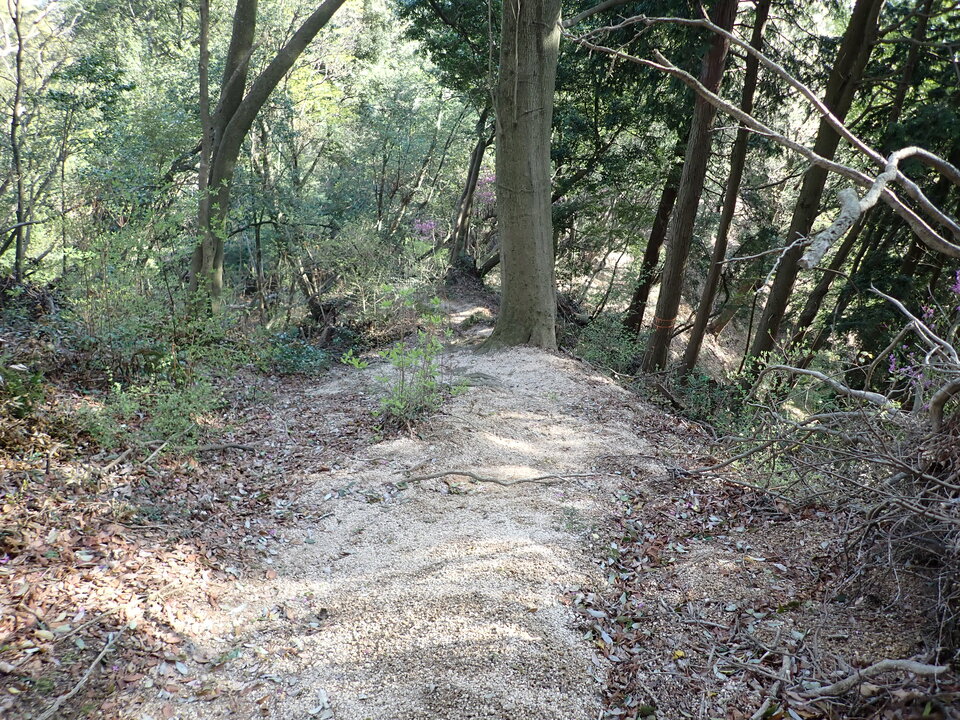P4093169_mid.jpg