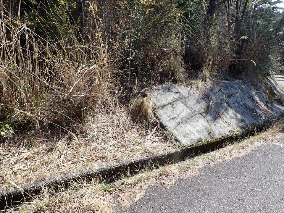 P4093235_mid.jpg