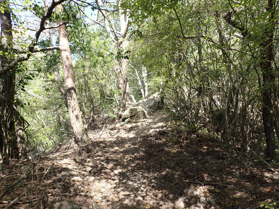 P4233458_mid.jpg