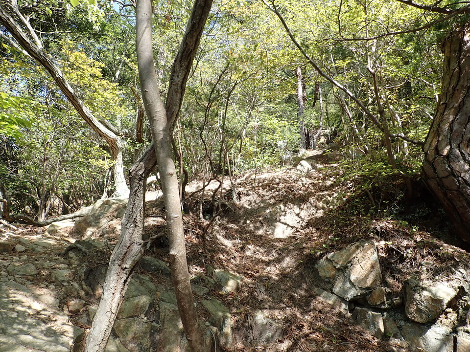 P4233461_mid.jpg