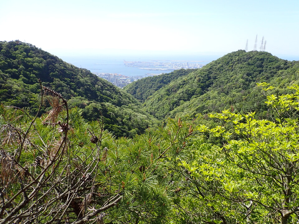 P4233486_mid.jpg