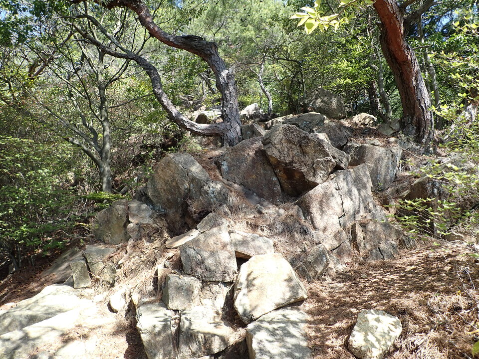 P4233498_mid.jpg