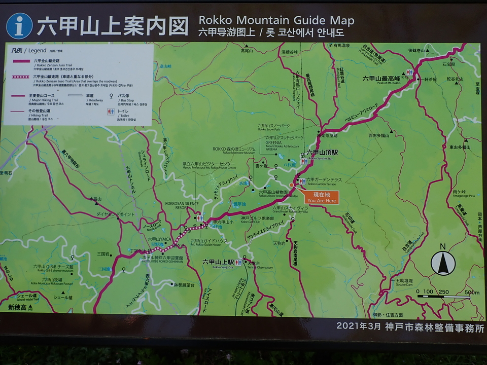 P4233629_mid.jpg