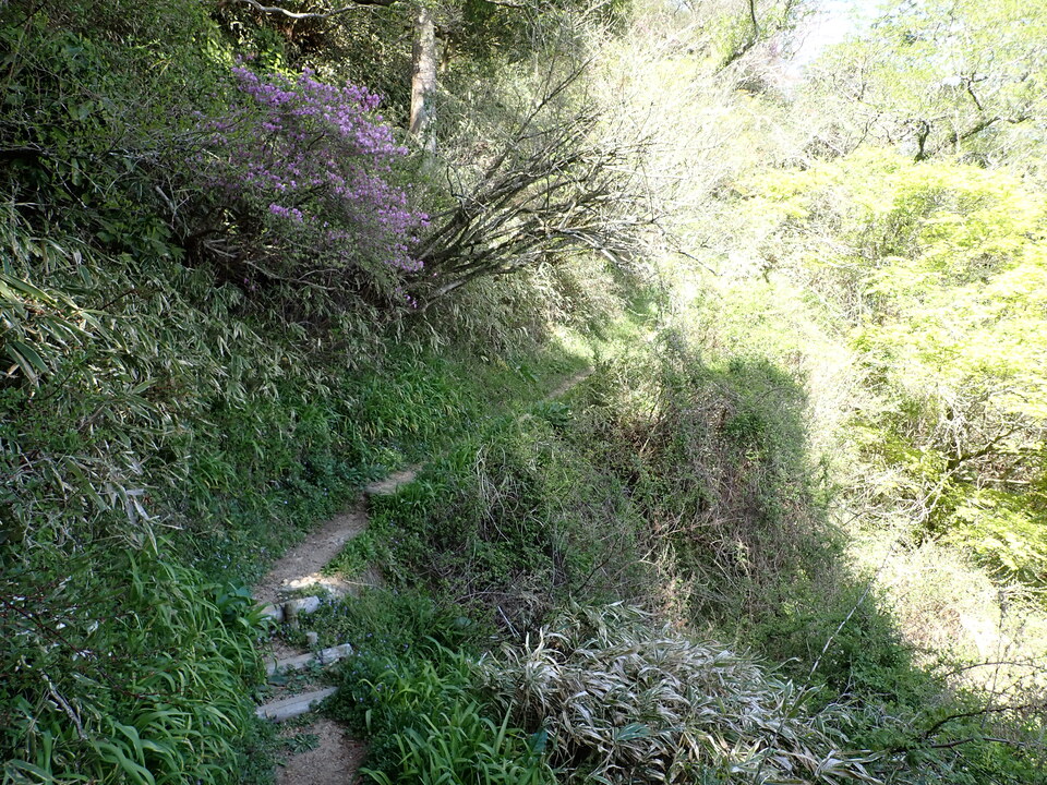 P4233632_mid.jpg