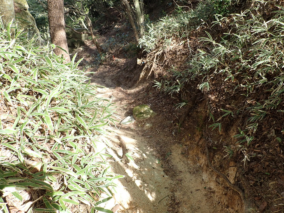 P4233656_mid.jpg