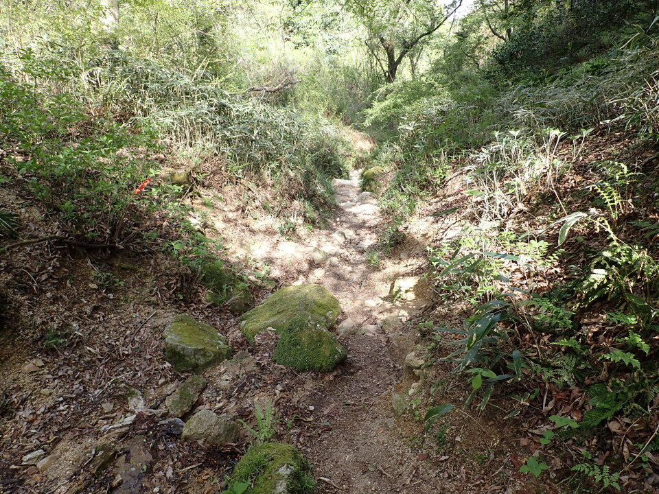 P4233666_mid.jpg