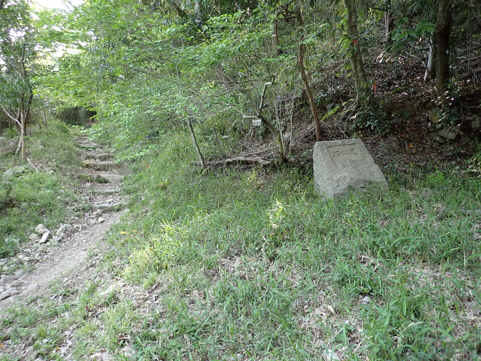 P4233749_mid.jpg