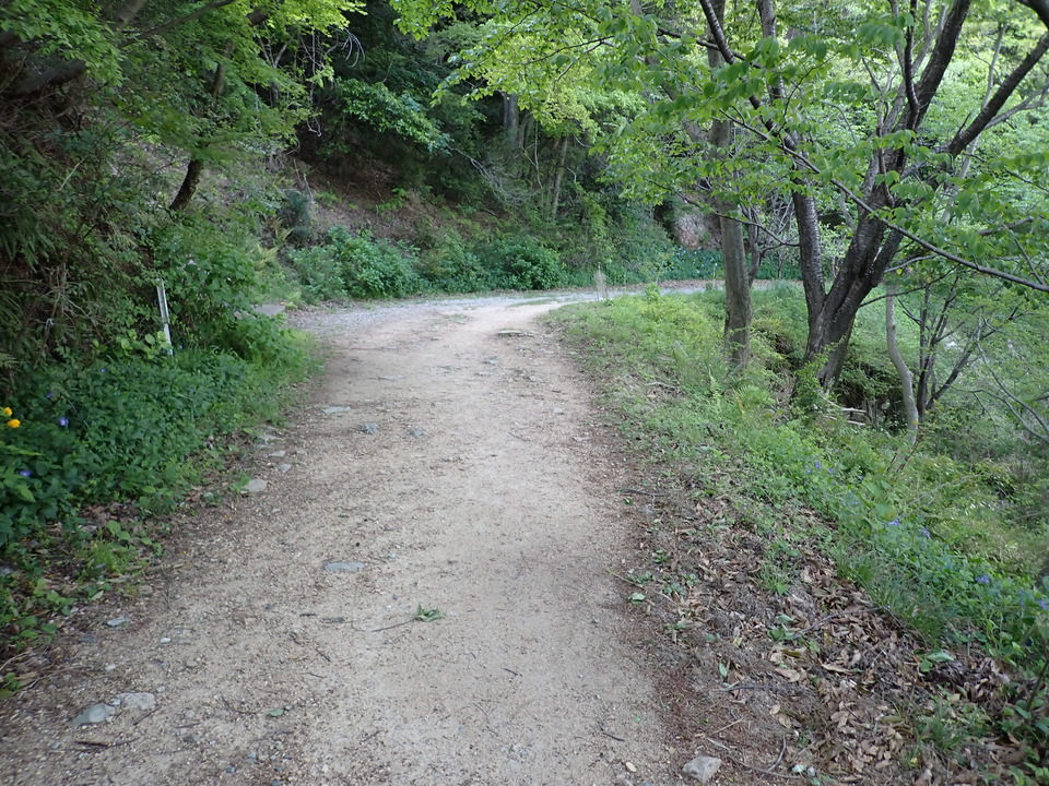 P4233766_mid.jpg