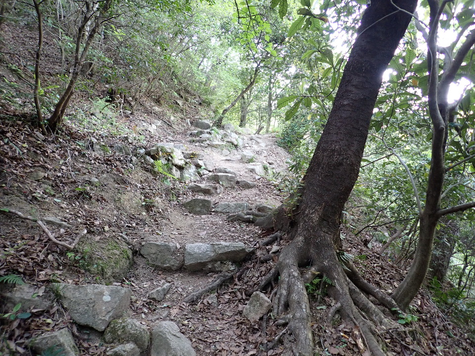 P4233770_mid.jpg
