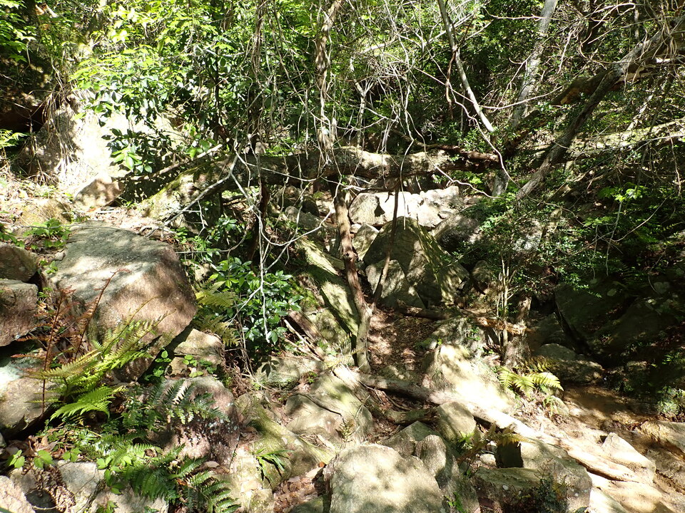P5033807_mid.jpg