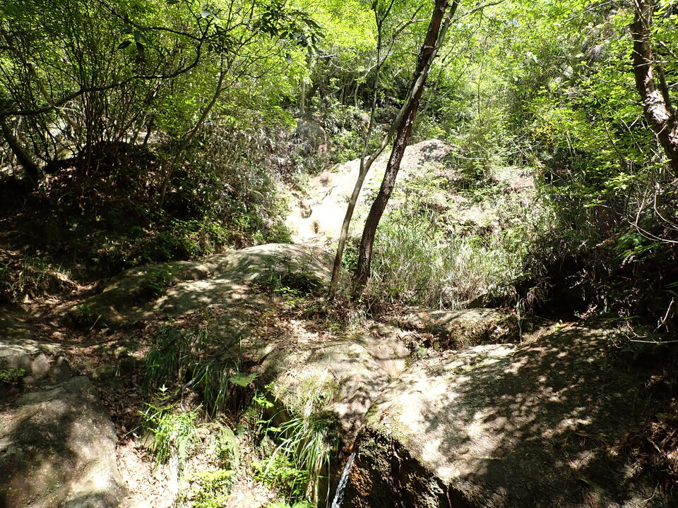 P5033876_mid.jpg
