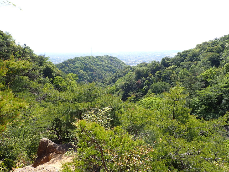 P5033884_mid.jpg