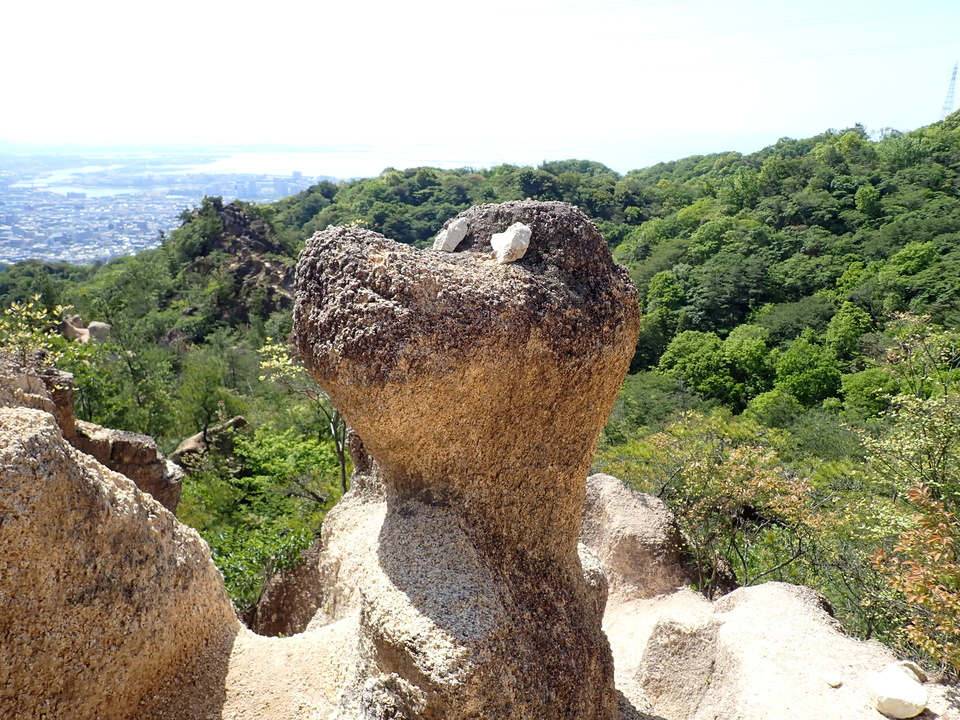 P5033923_mid.jpg