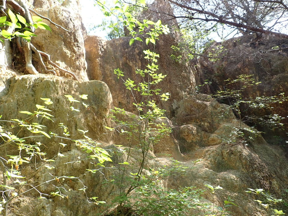 P5033962_mid.jpg