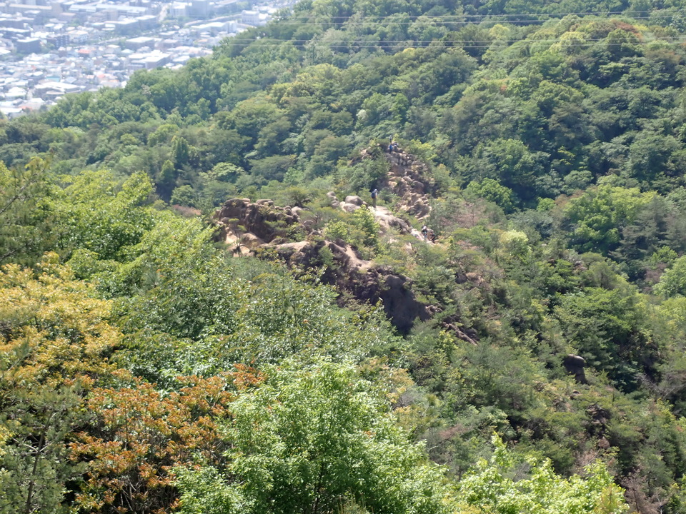 P5034007_mid.jpg