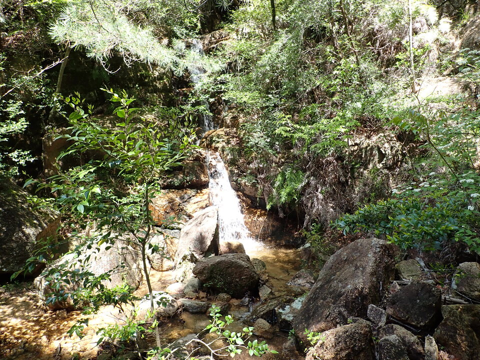 P5034036_mid.jpg