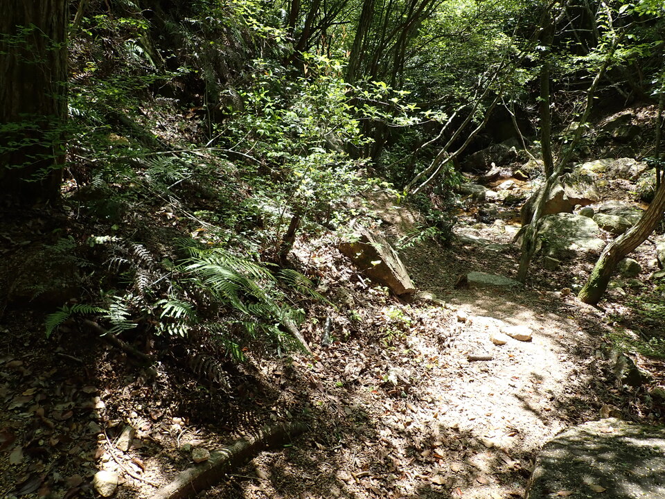 P5034041_mid.jpg