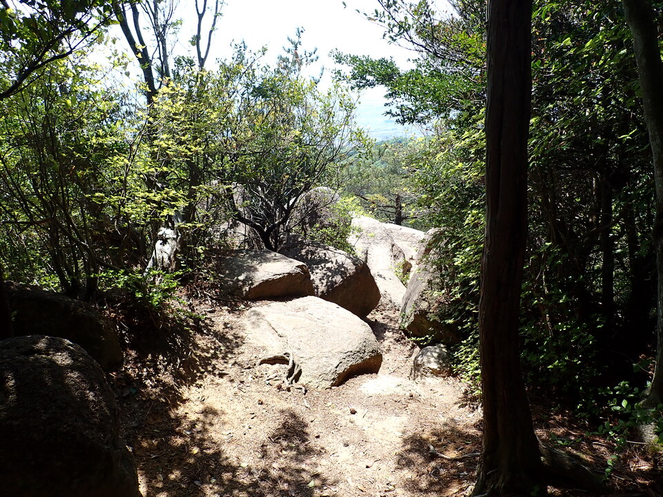 P5034098_mid.jpg