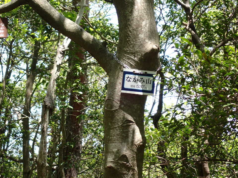 P5034110_mid.jpg