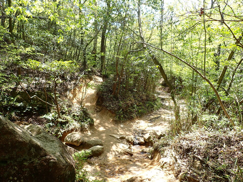 P5034122_mid.jpg