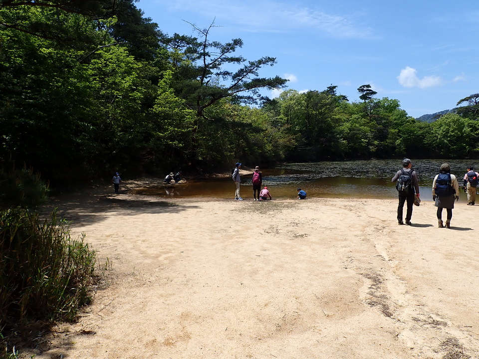 P5034128_mid.jpg