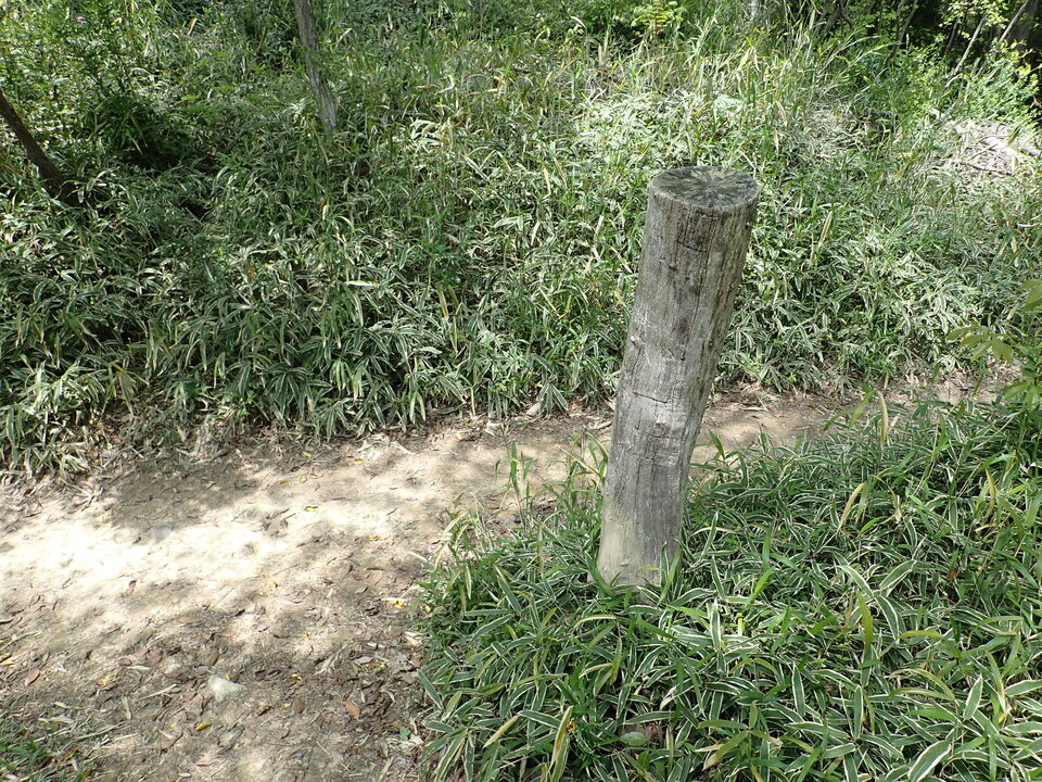 P5034191_mid.jpg